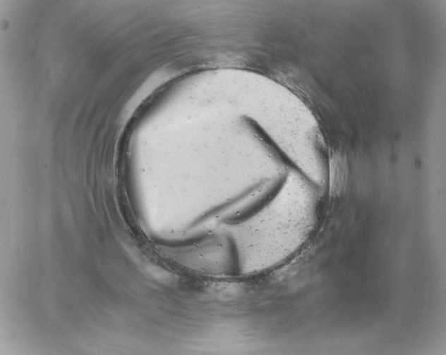 X0000062930195200602031955