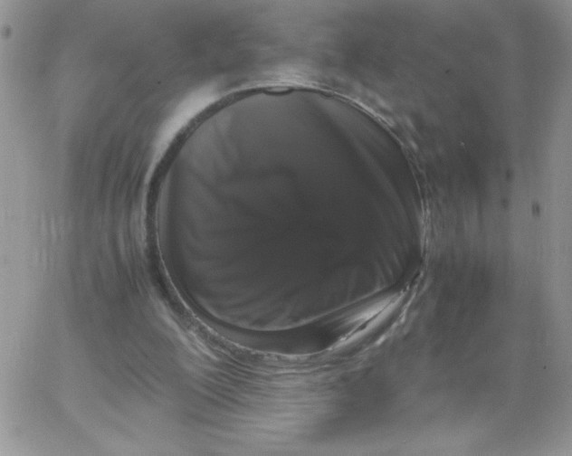 X0000062930200200602031955