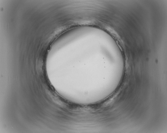 X0000062930201200602031955