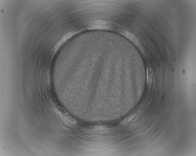 X0000062930204200602031955