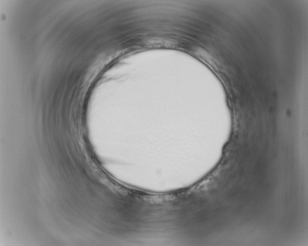 X0000062930241200602031954