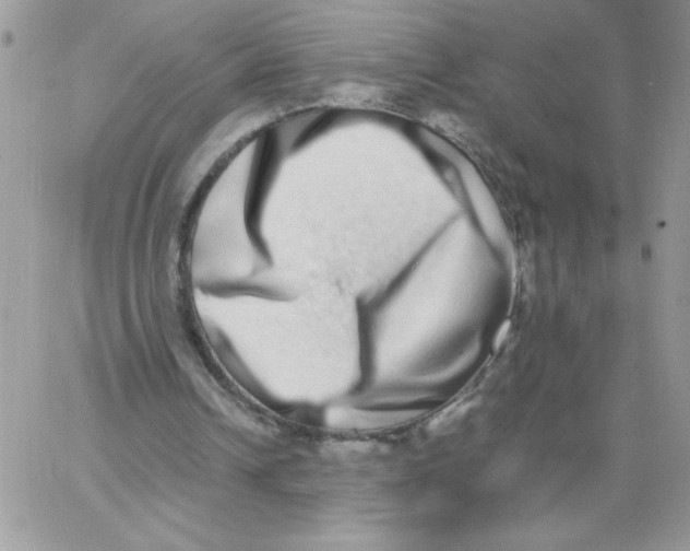 X0000062930242200602031954