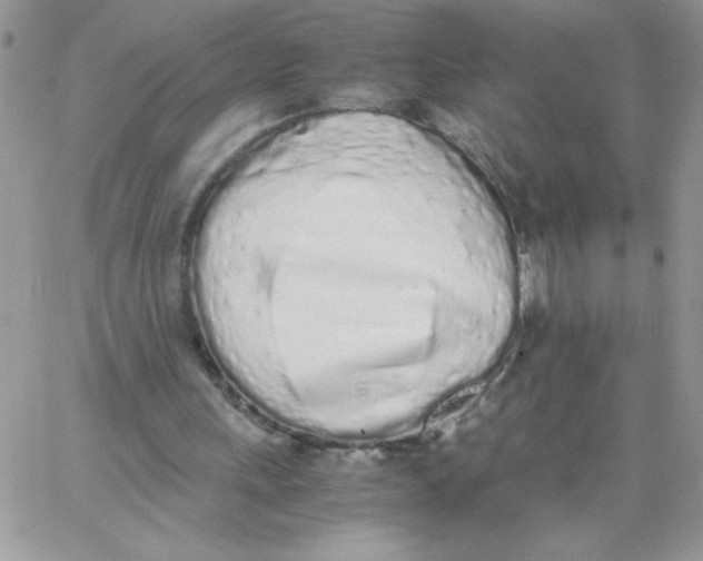 X0000062930243200602031954
