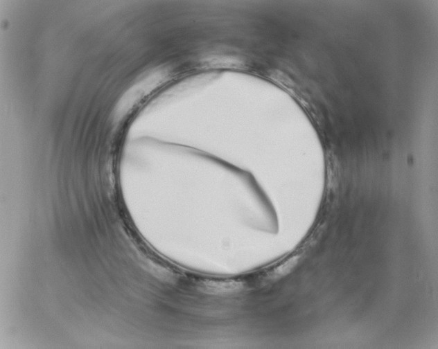 X0000062930245200602031954