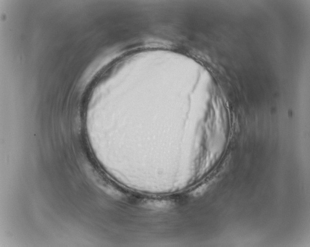 X0000062930247200602031954