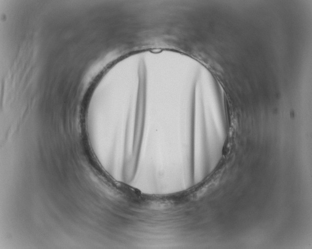 X0000062930248200602031954