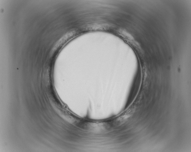 X0000062930250200602031954