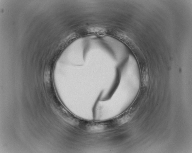 X0000062930263200602031954