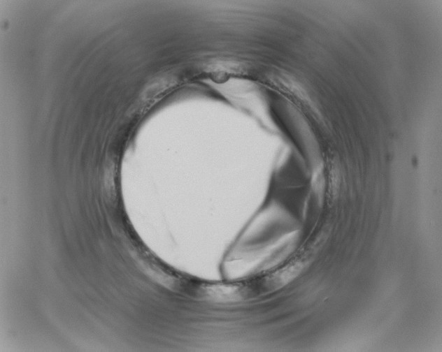X0000062930265200602031954