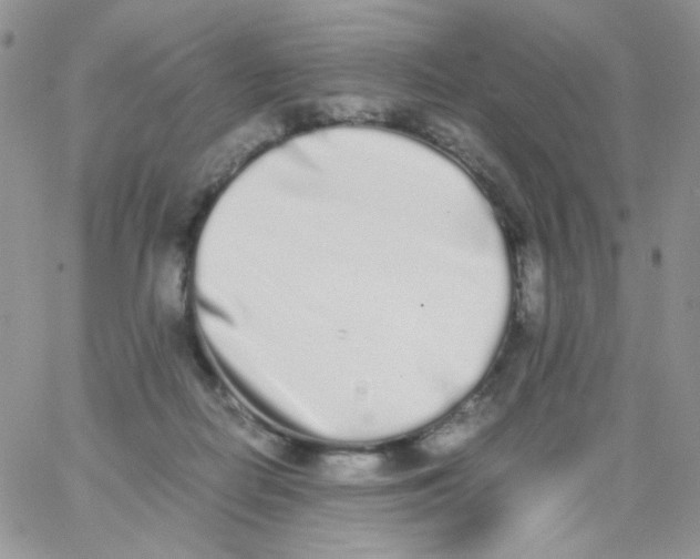 X0000062930266200602031954