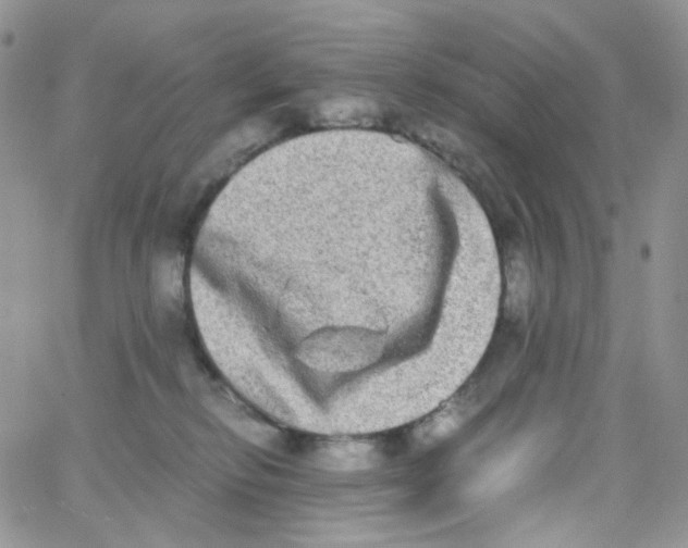 X0000062930278200602031954