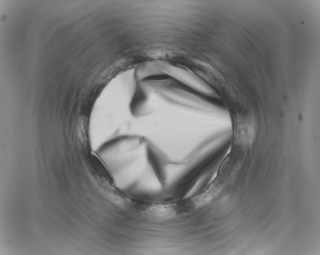 X0000062930280200602031954
