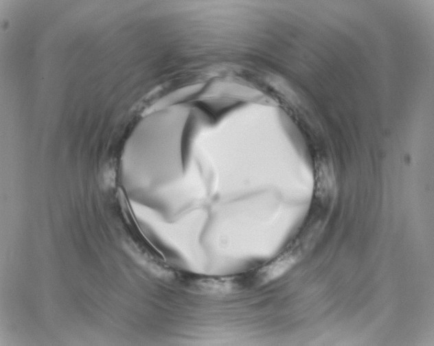 X0000062930284200602031954