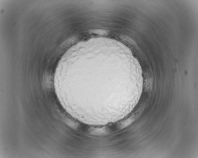 X0000062930285200602031954