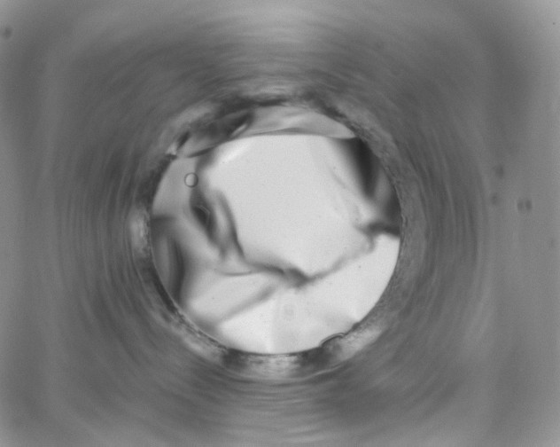 X0000062930288200602031954