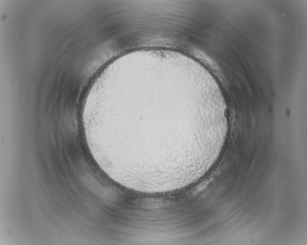 X0000062930298200602031953
