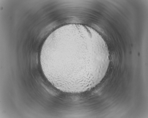 X0000062930302200602031953