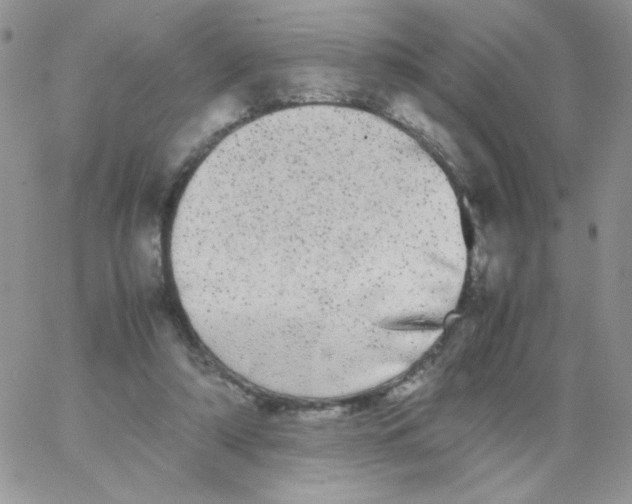 X0000062930306200602031953