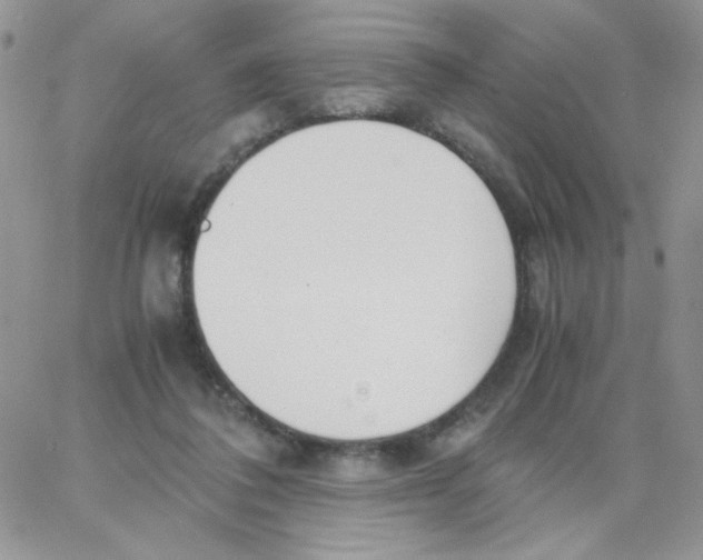 X0000062930308200602031953