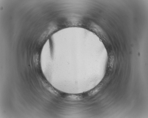 X0000062930326200602031953