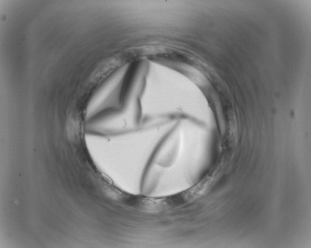 X0000062930333200602031953
