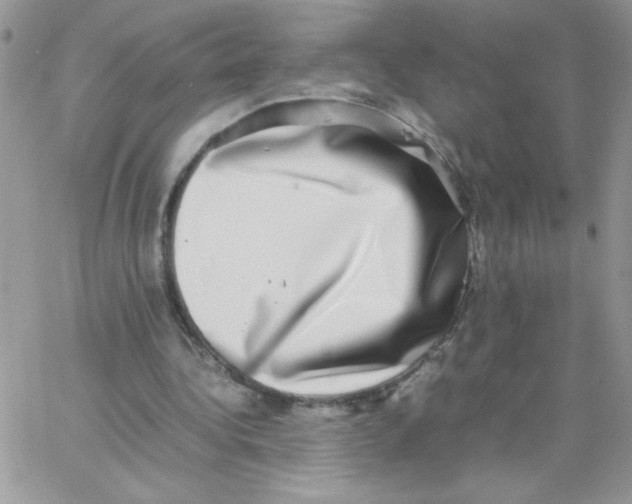 X0000062930340200602031952