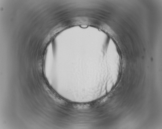 X0000062930345200602031952