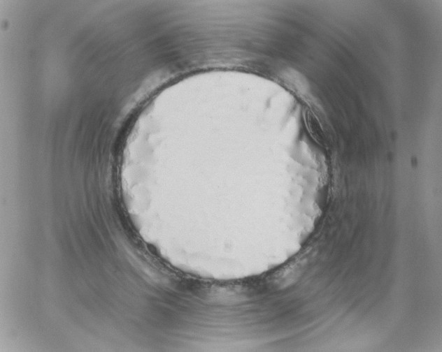 X0000062930346200602031952