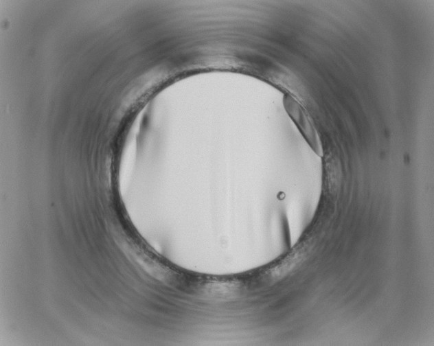 X0000062930350200602031952