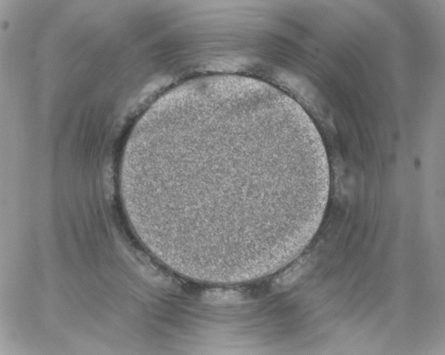 X0000062930354200602031952