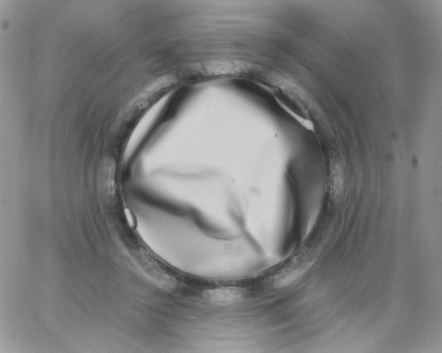 X0000062930356200602031952