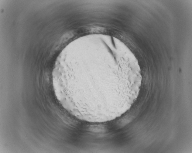 X0000062930363200602031952