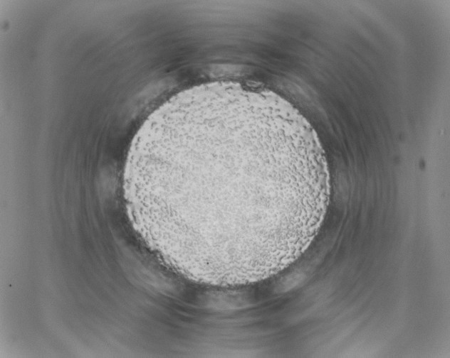 X0000062930367200602031952