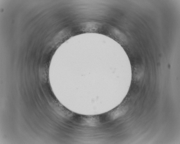X0000062930370200602031952