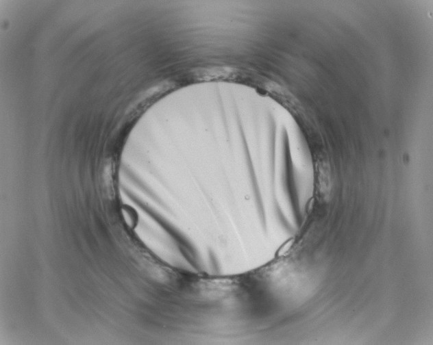 X0000062930378200602031953