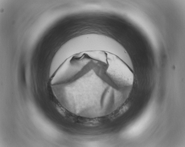 X0000062930382200602031953
