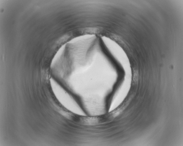 X0000062930383200602031953