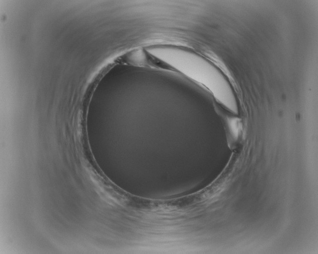 X0000062930387200602031952