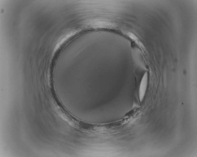 X0000062930391200602031952