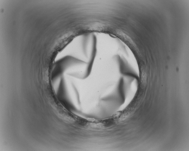X0000062930403200602031952