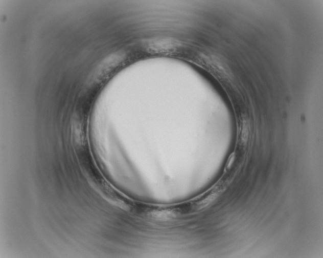 X0000062930408200602031952