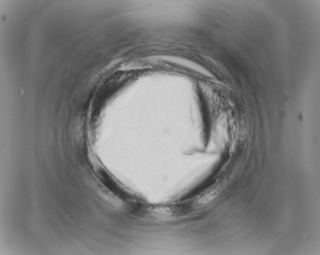 X0000062930409200602031952