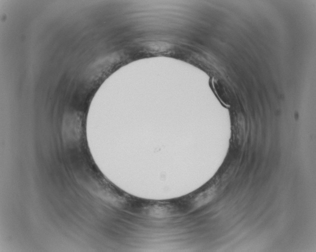 X0000062930412200602031952