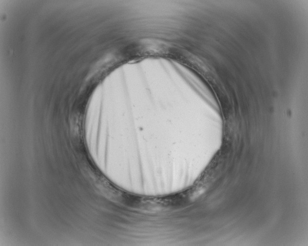 X0000062930423200602031951