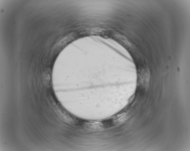 X0000062930427200602031951