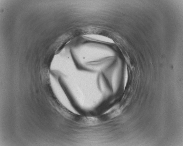 X0000062930429200602031951