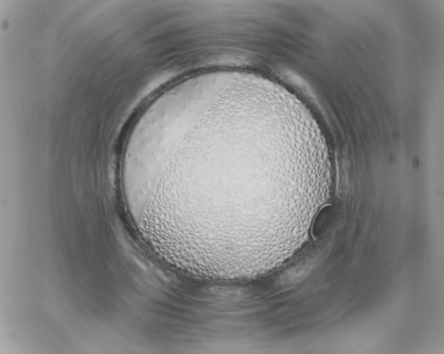 X0000062930435200602031950