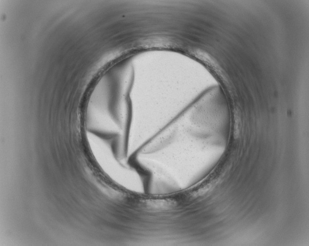 X0000062930439200602031951
