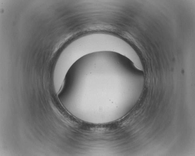 X0000062930448200602031951