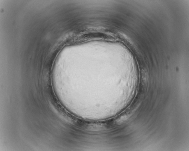 X0000062930451200602031951